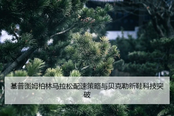 ji-pu-tu-mu-bo-lin-ma-la-song-pei-su-ce-lve-yu-bei-ke-lei-xin-xie-ke-ji-tu-po-2-407.jpg
