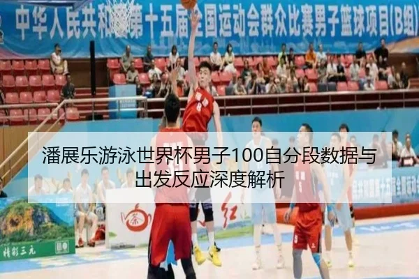 pan-zhan-le-you-yong-shi-jie-bei-nan-zi-zi-fen-duan-shu-ju-yu-chu-fa-fan-ying-shen-du-jie-xi-3-304.jpg