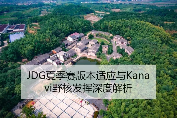 JDG夏季赛版本适应与Kanavi野核发挥深度解析